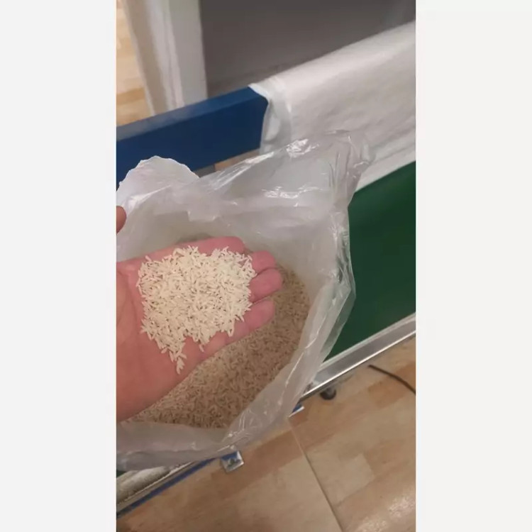 برنج کشت دوم سورت شده