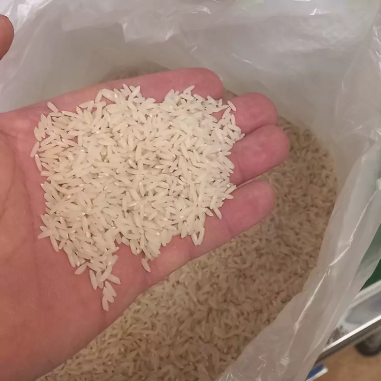 برنج کشت دوم سورت شده